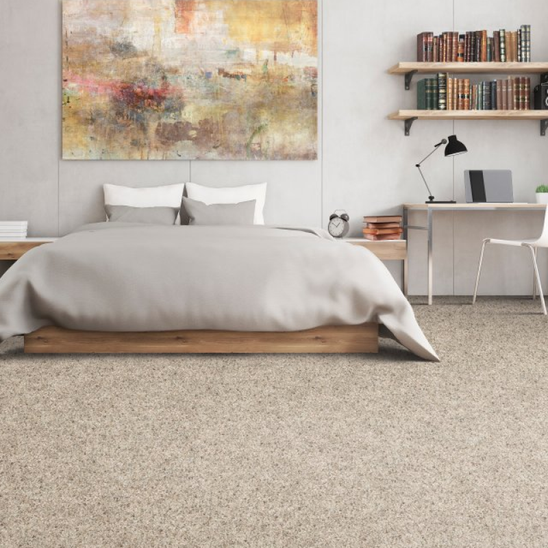 Alabama Custom Flooring & Design providing stain-resistant pet proof carpet in Athen, AL